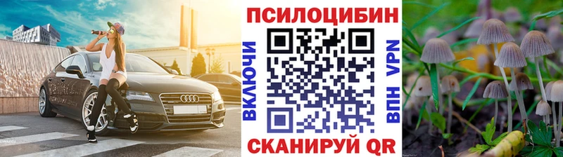 цена наркотик  Тавда  Псилоцибиновые грибы Psilocybine cubensis 