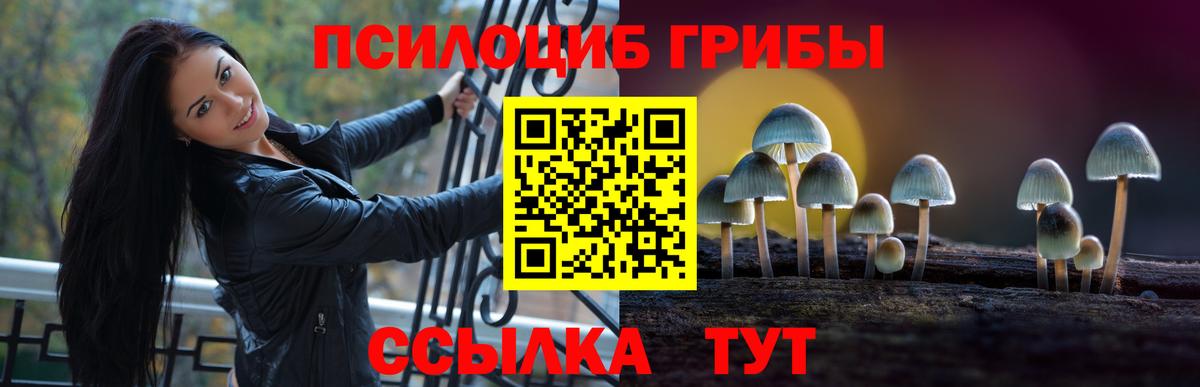 Тавда  Галлюциногенные грибы MAGIC MUSHROOMS  Псилоцибиновые грибы Psilocybe  Вход с VPN 